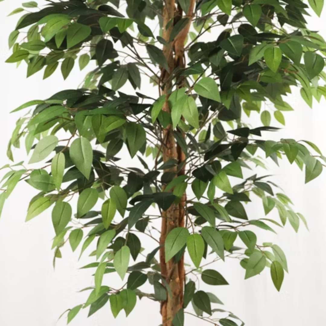 Veštačko drvo fikus – 160 cm